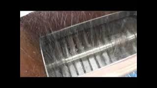 Cleaning Plant